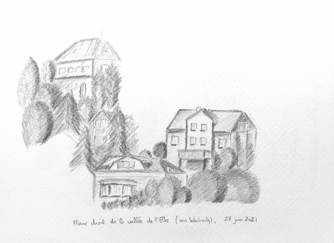 Flanc droit de la vallée de l'Elbe (vers Wachwitz), 27 juin 2021