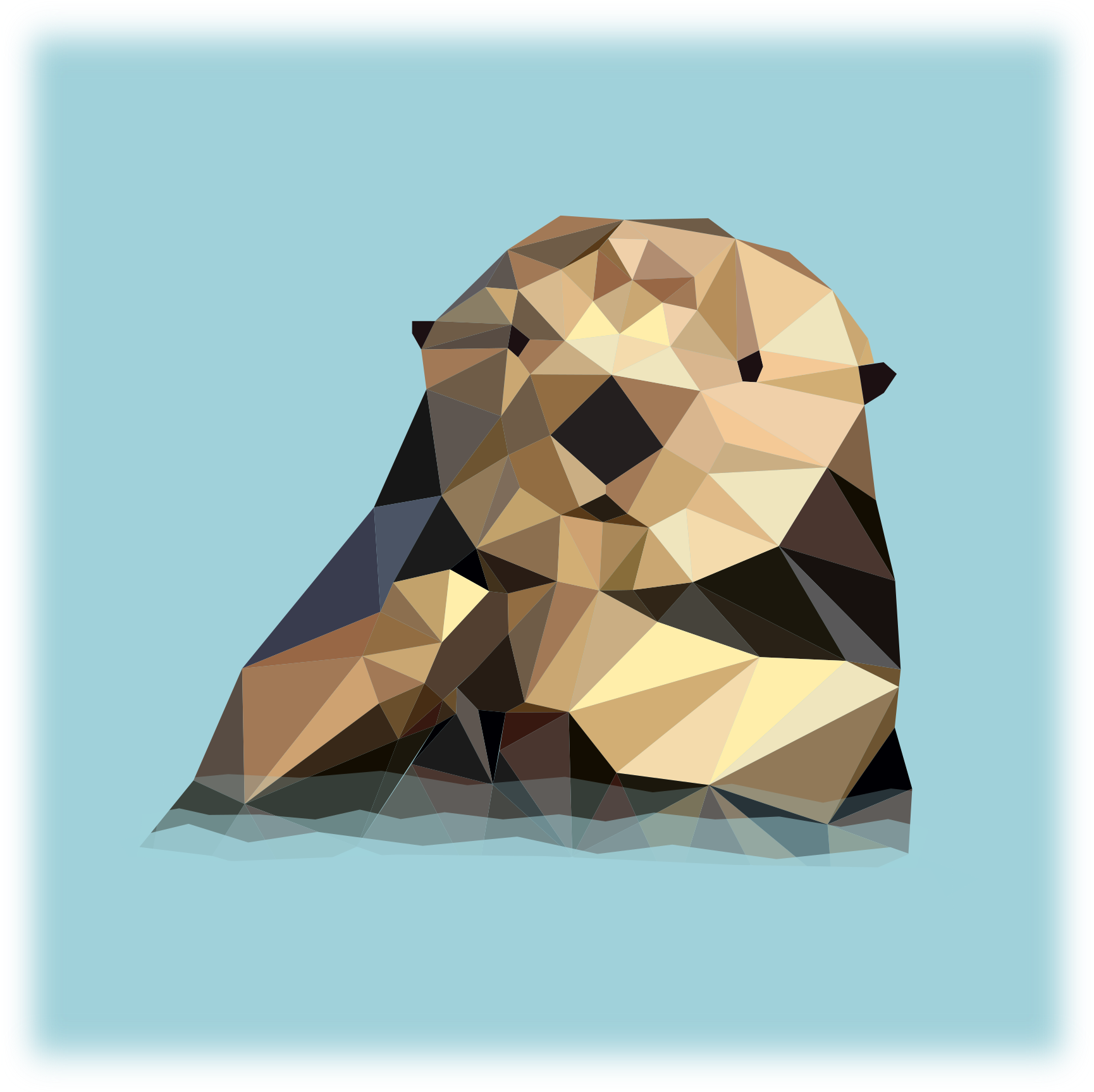 Loutre polygonale (19 juin 2021)