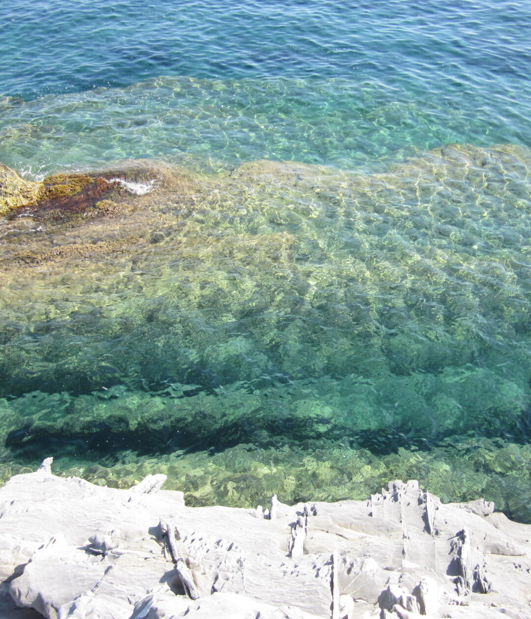 Errance VI (Nervi)